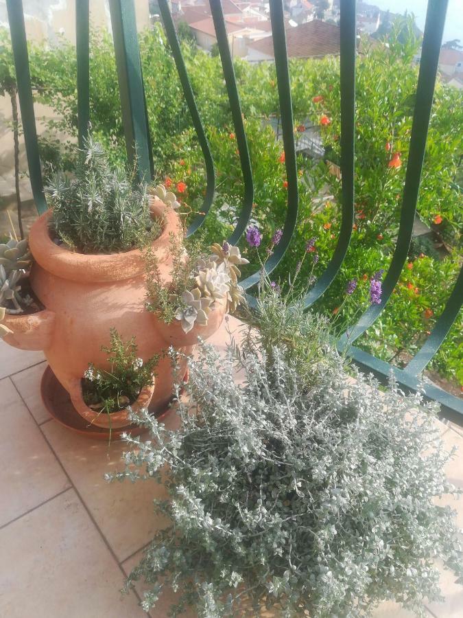 Apartman Betty Szybenik Zewnętrze zdjęcie